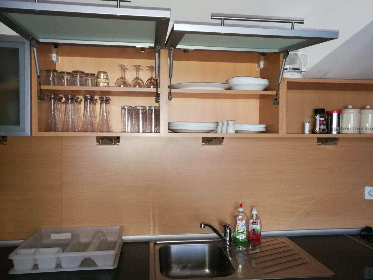 בנסקו Top Lodge Apartments מראה חיצוני תמונה