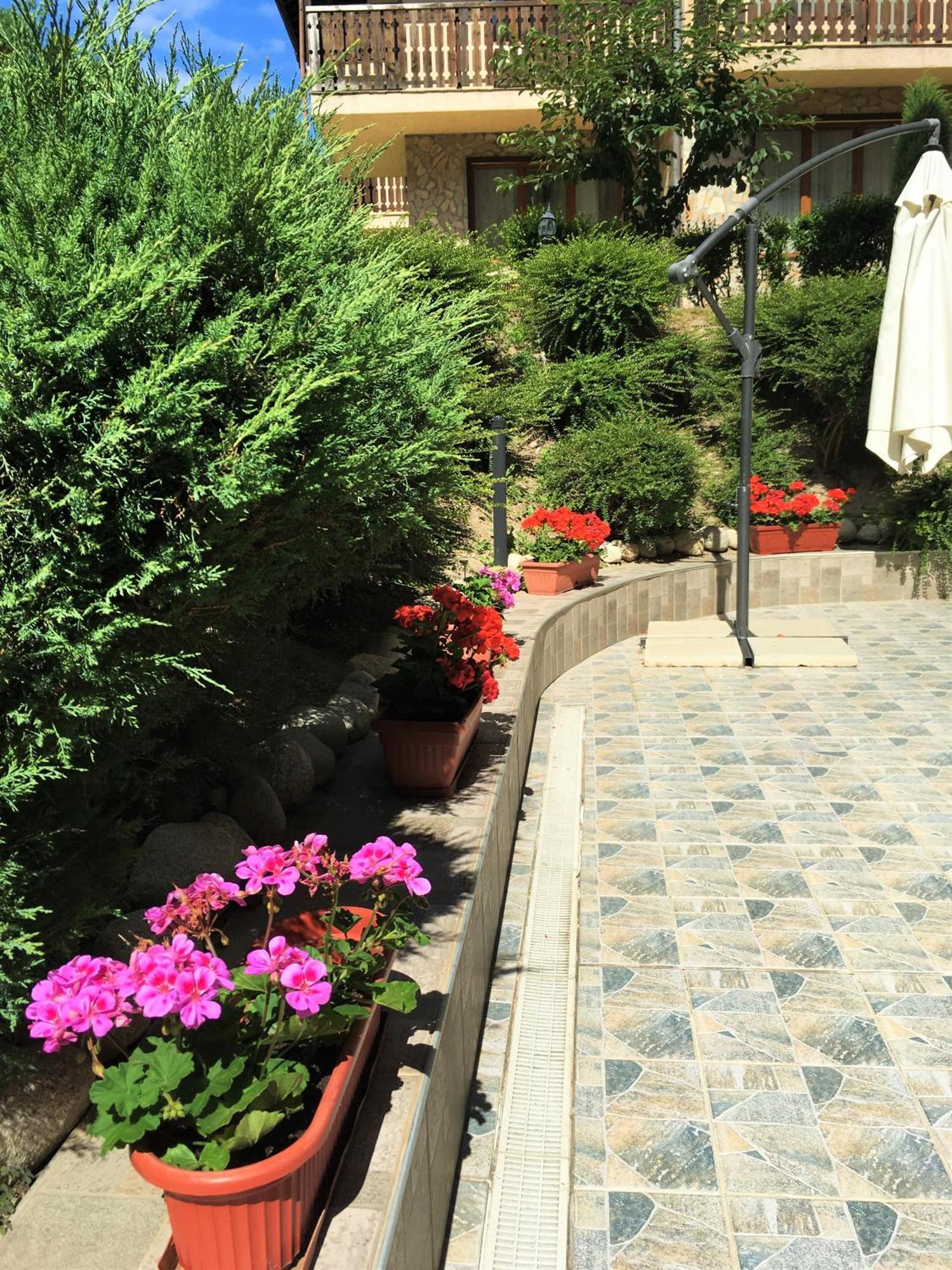 בנסקו Top Lodge Apartments מראה חיצוני תמונה